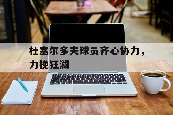 杜塞尔多夫球员齐心协力，力挽狂澜的简单介绍